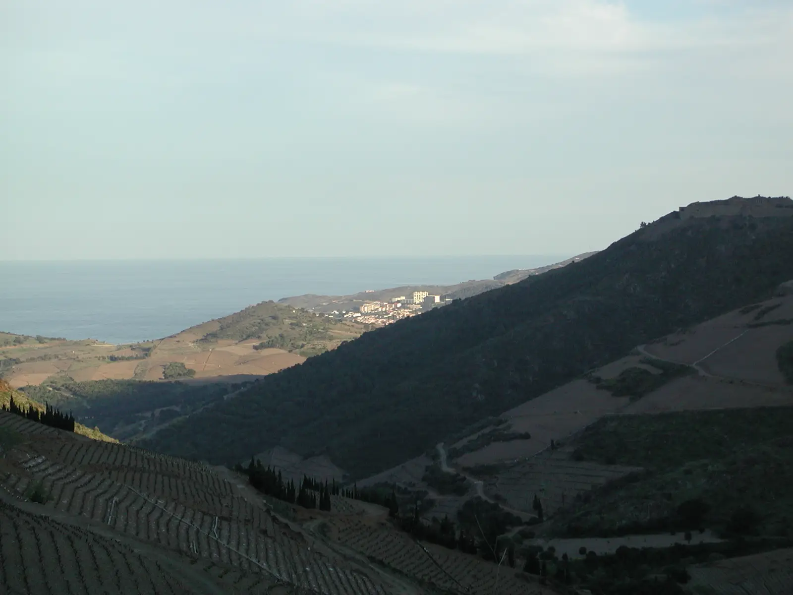 The Roussillon vineyards, where WINE ELSE? began