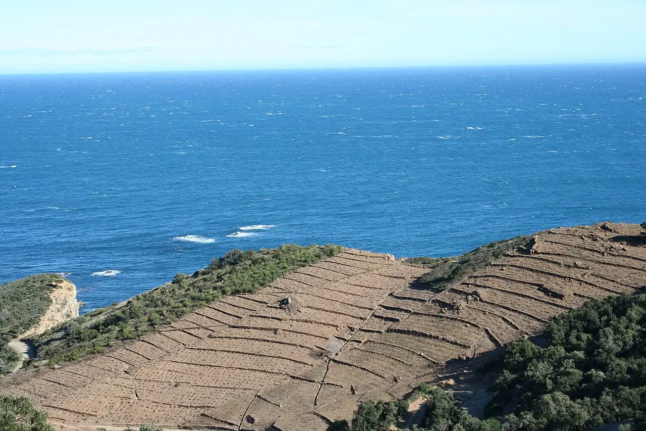 Languedoc